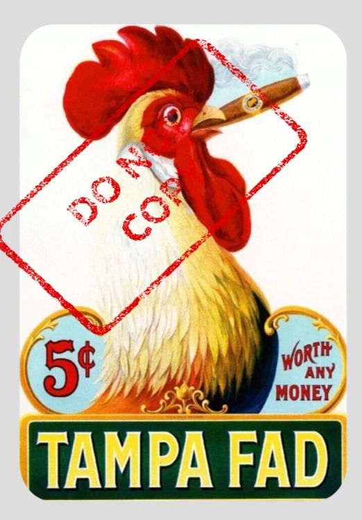 Tampa Fad Rooster Chicken Cigar Box Label Retro Ad