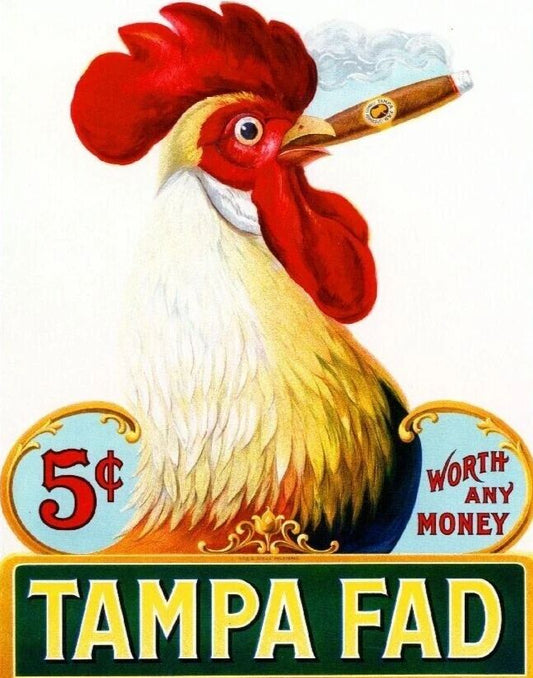 Tampa Fad Rooster Chicken Vintage Cigar Box Label Advertisement Art Print