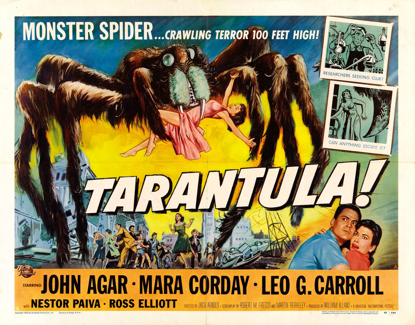 Tarantula 02 Movie Magnet