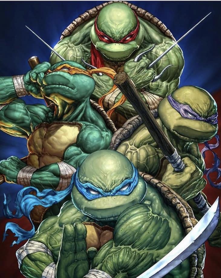 Teenage Mutant Ninja Turtles Illustration Jigsaw Puzzle