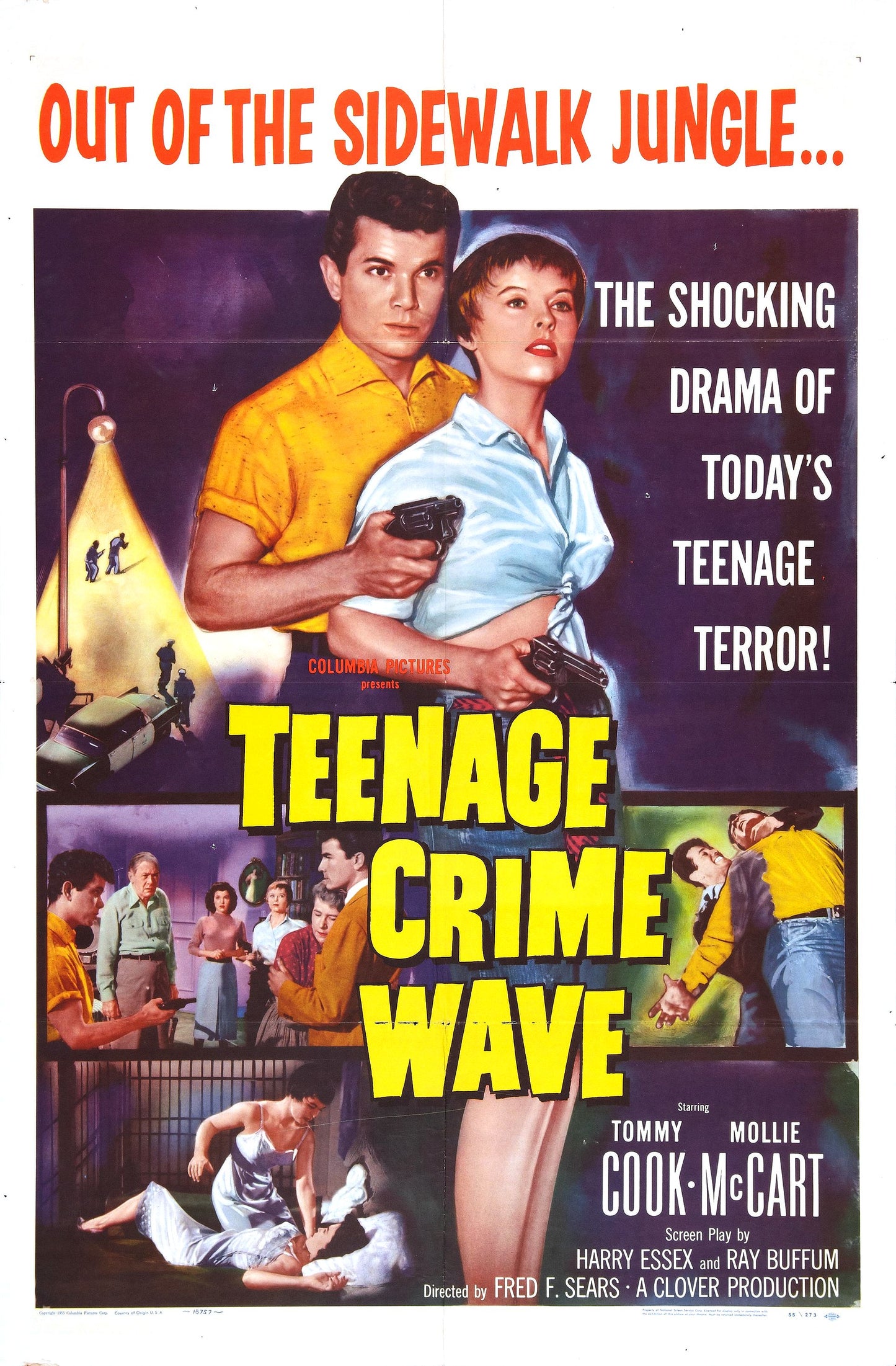 Teenage Crime Wave 01 Movie Magnet