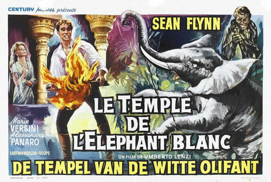 Temple Of White Elephant 01 Movie Magnet