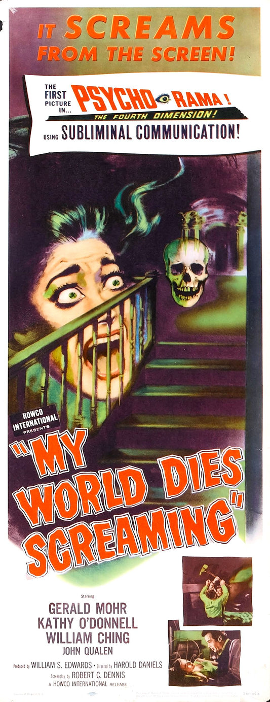 Terror In Haunted House 04 Movie Magnet