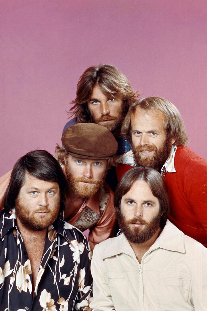 The Beach Boys Rock Musicians Print Jigsaw Puzzle