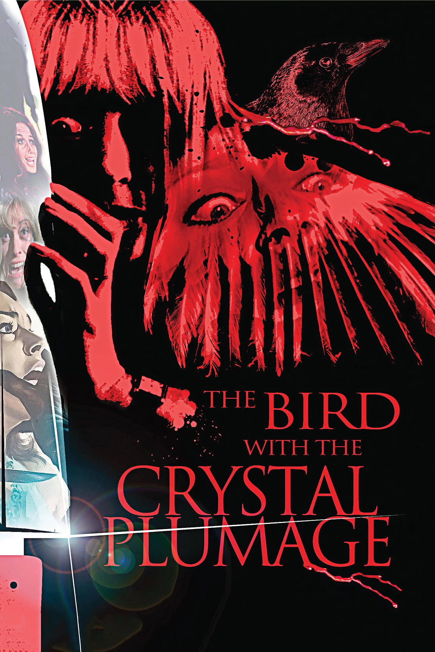The Bird With The Crystal Plumage (1970) Movie Magnet