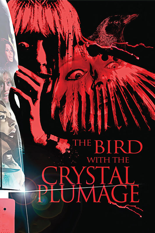 The Bird With The Crystal Plumage (1970) Movie Magnet