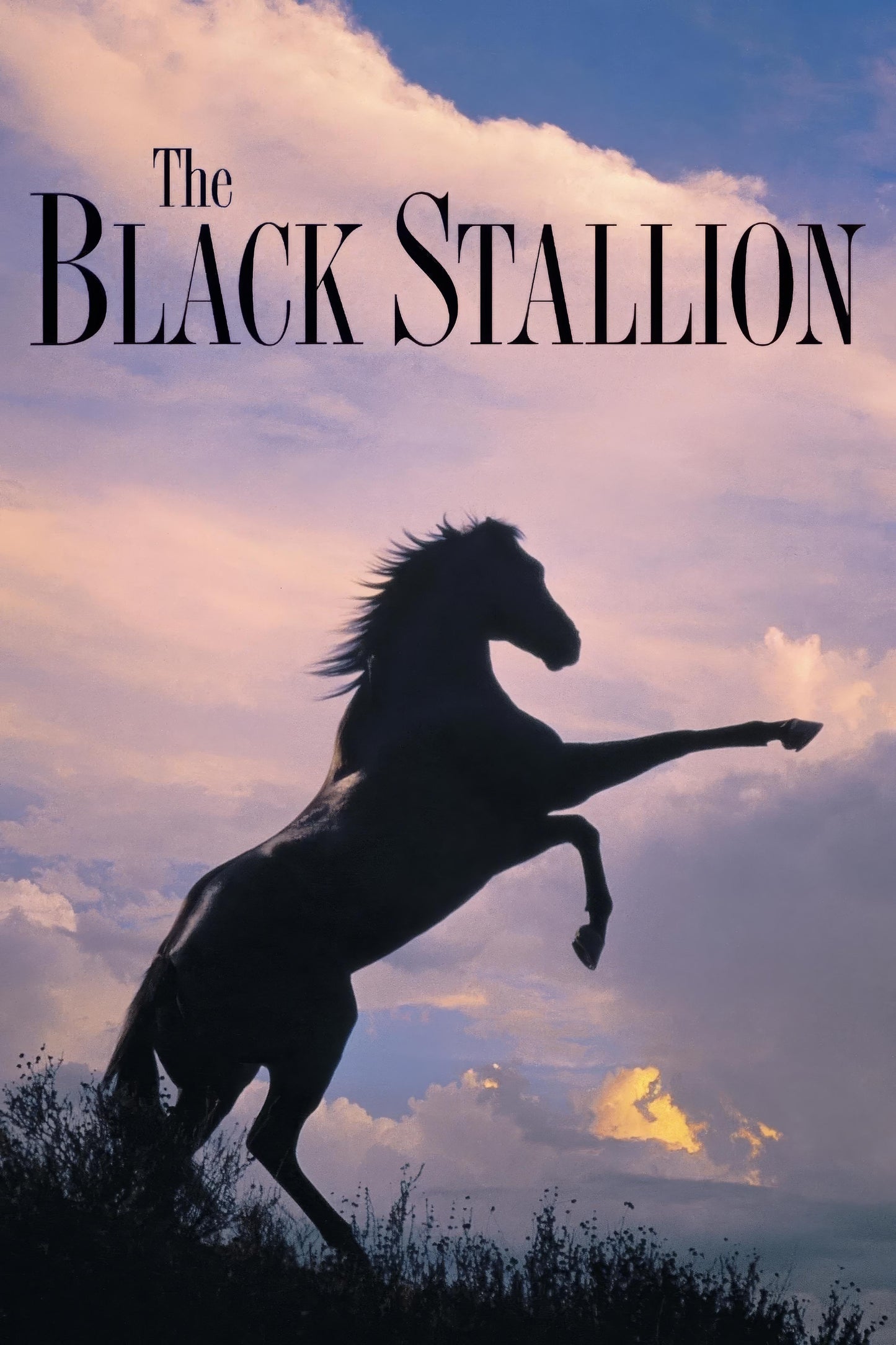 The Black Stallion (1979) Movie Magnet