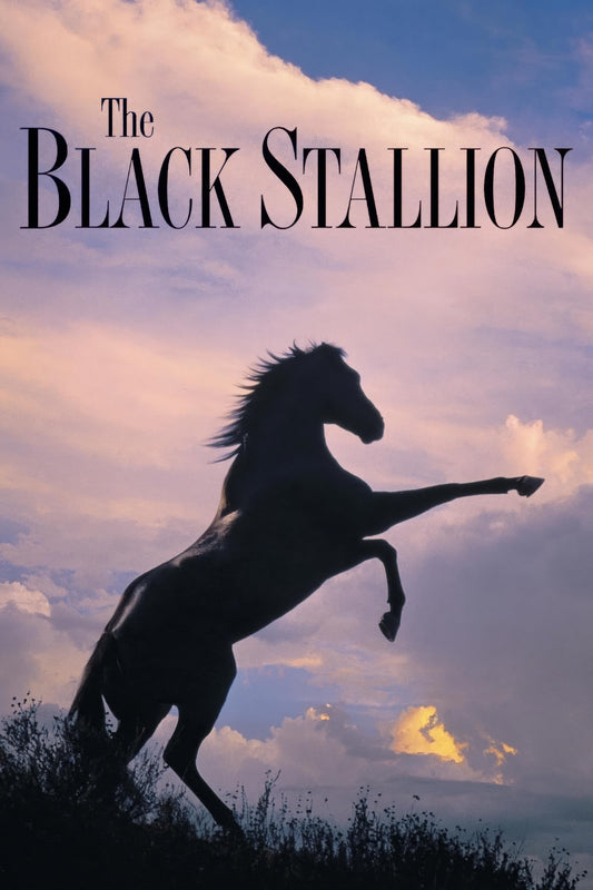 The Black Stallion (1979) Movie Magnet
