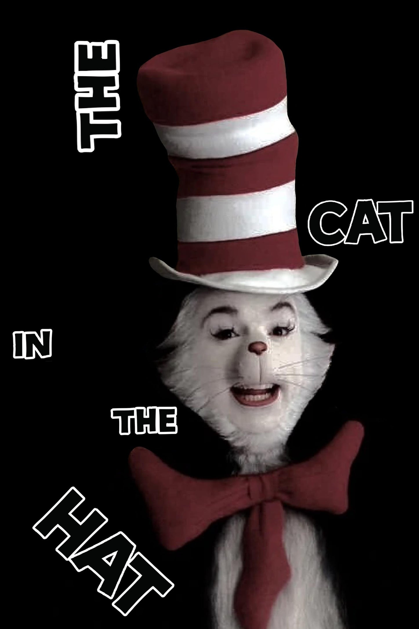 The Cat In The Hat (2003) Movie Magnet