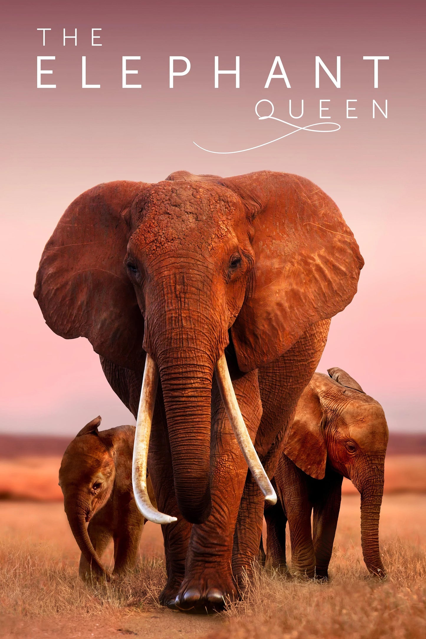 The Elephant Queen (2019) Movie Magnet