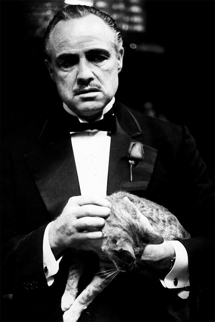 The Godfather Movie Marlon Brando Black White Jigsaw Puzzle