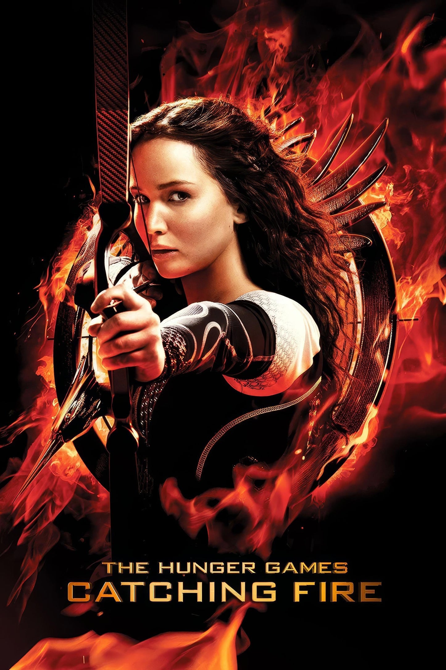 The Hunger Games Catching Fire (2013) Movie Magnet