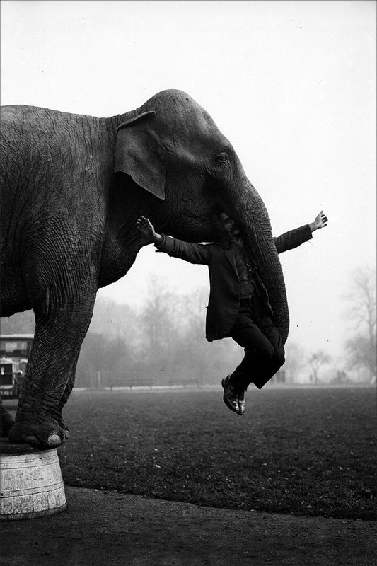 The Man Is In The Elephants Mouth Vintage Jigsaw Puzzle