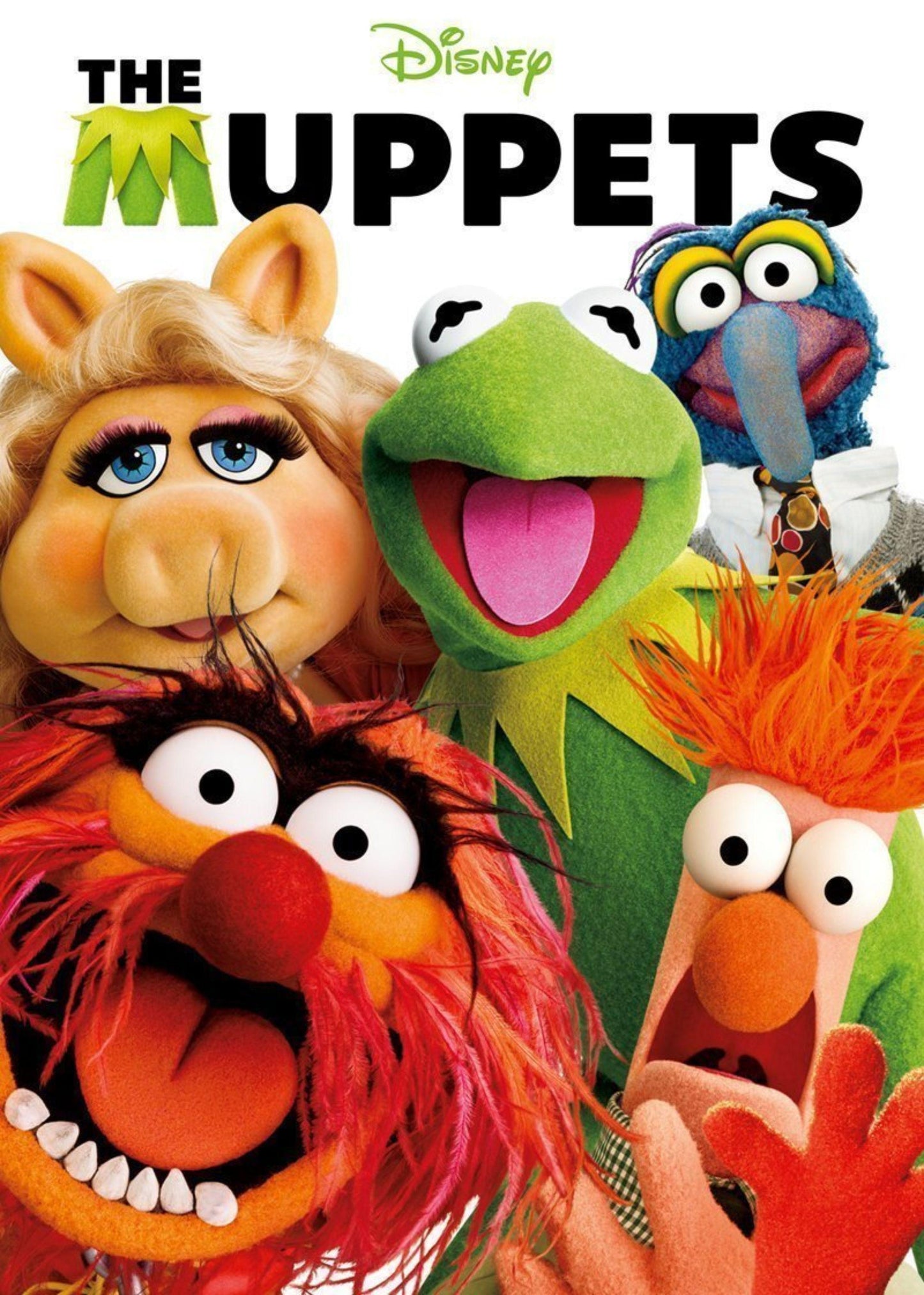 The Muppets The Muppets (2011) 2 Movie Magnet
