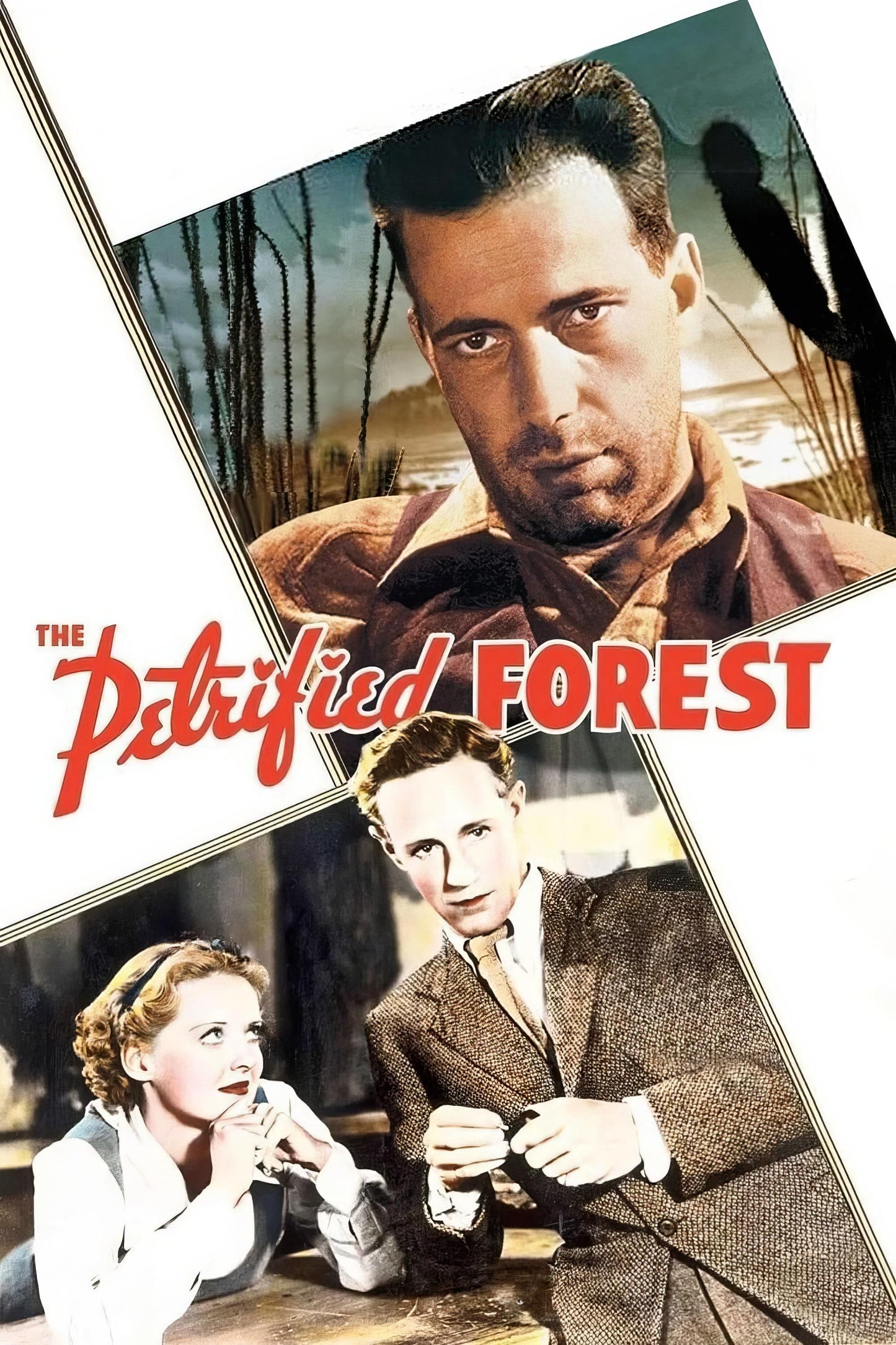 The Petrified Forest (1936) Movie Magnet