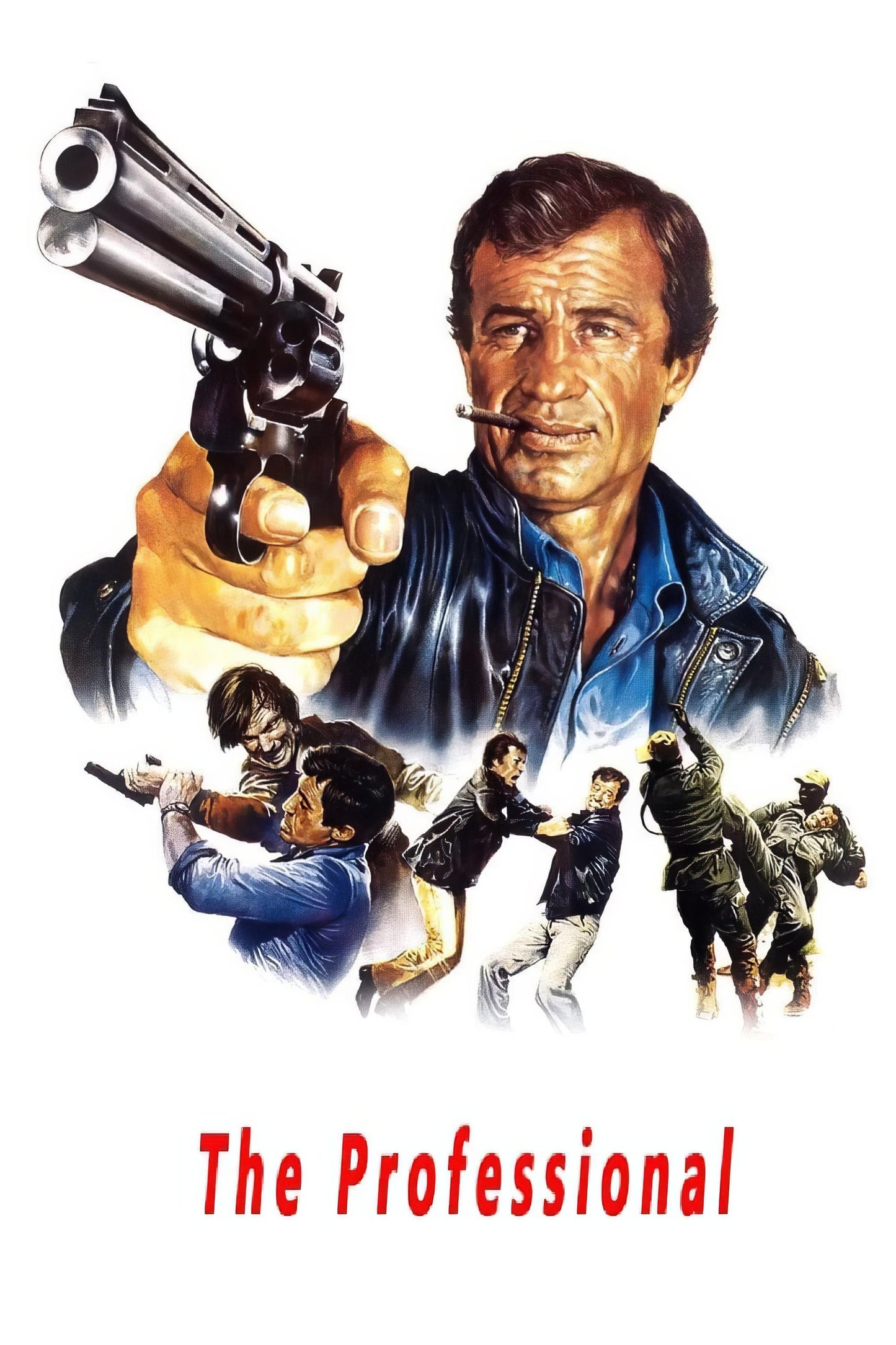 The Professional (1981) Movie Magnet