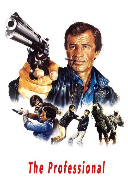 The Professional (1981) Movie Magnet