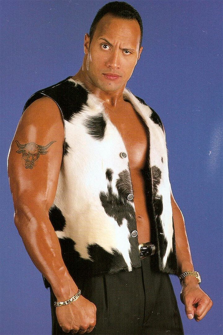 The Rock Jabroni Dr Great One Print Painting Jigsaw Puzzle