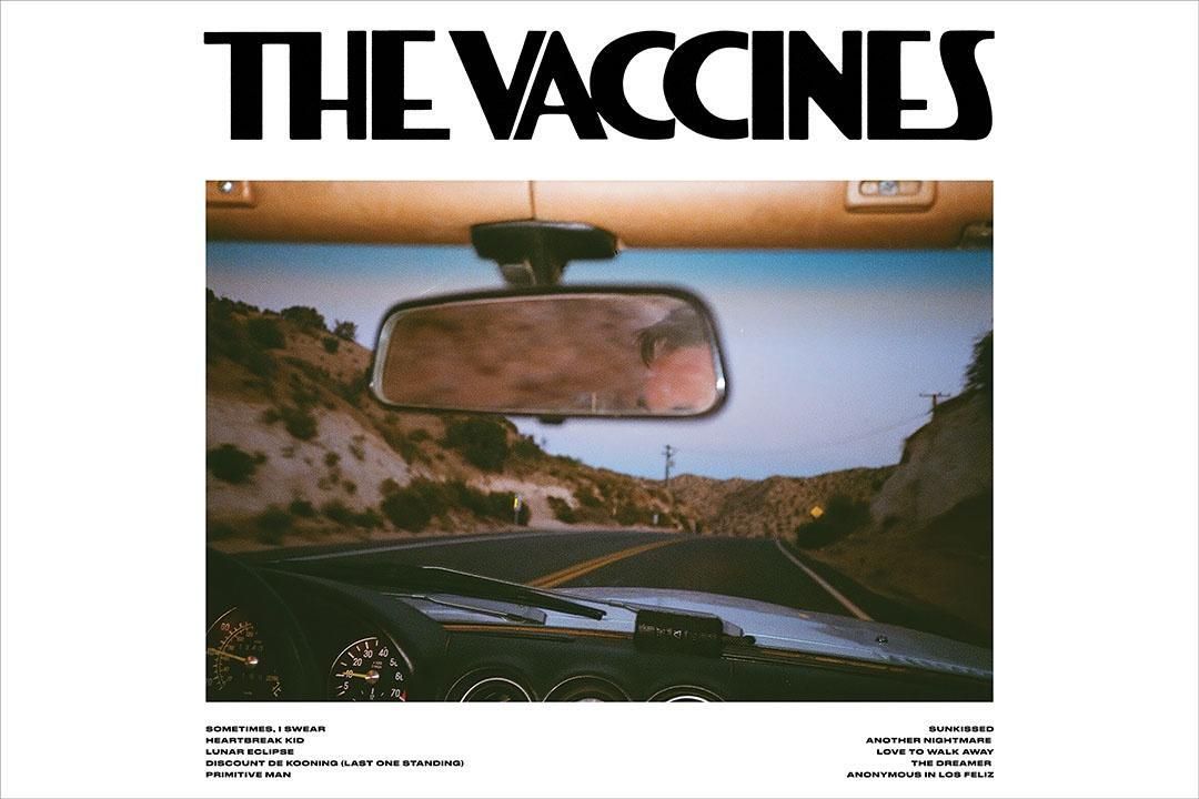 The Vaccines Pick Up Full Of Pink Carnations Music Band Album Jigsaw Puzzle