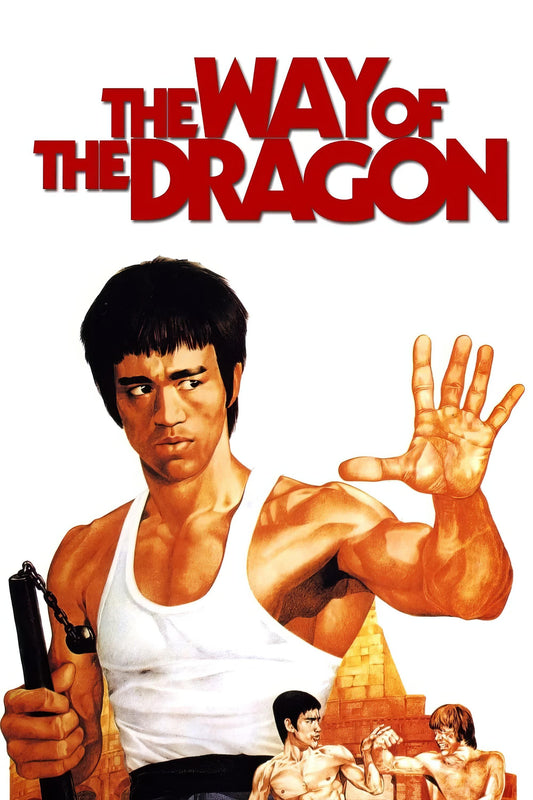 The Way Of The Dragon (1972) Movie Magnet