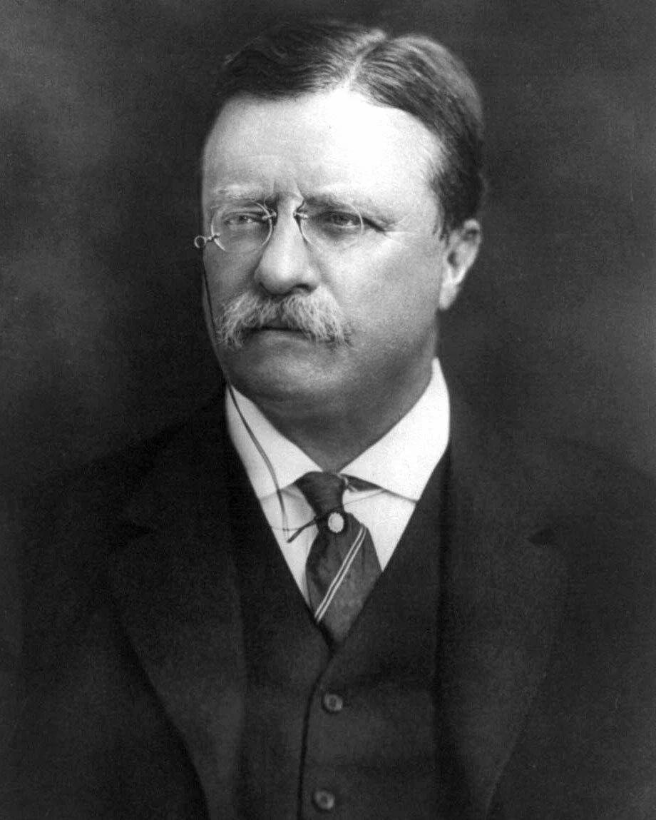 Theodore Teddy Roosevelt President Official Portrait 8 X 10 Magnet Picture