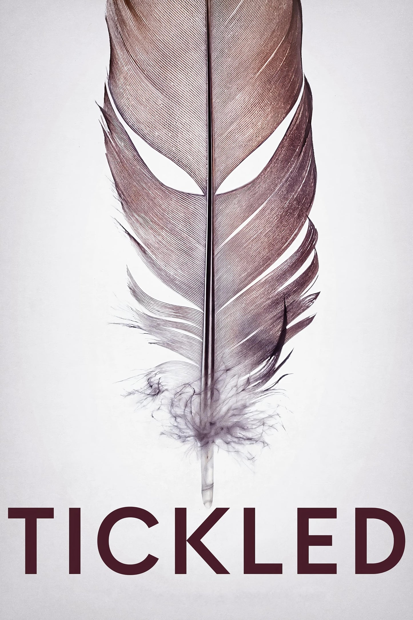 Tickled (2016) Movie Magnet