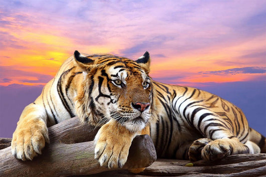 Tiger Sitting On Tree Branch Animals Naturel Life Painting Jigsaw Puzzle