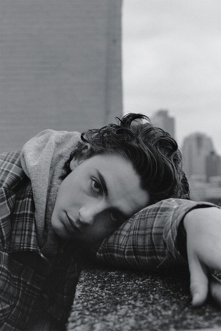 Timothee Chalamet American French Actress Jigsaw Puzzle