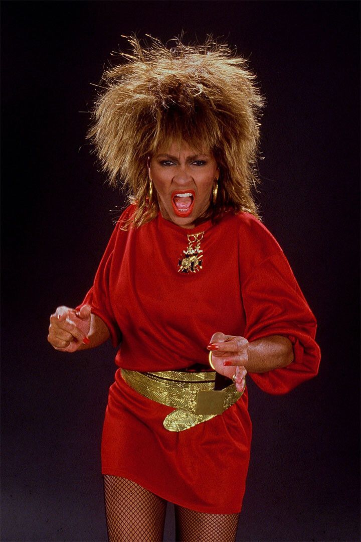 Tina Turner American Artist And Singer Print Wall Home Decor Jigsaw Puzzle