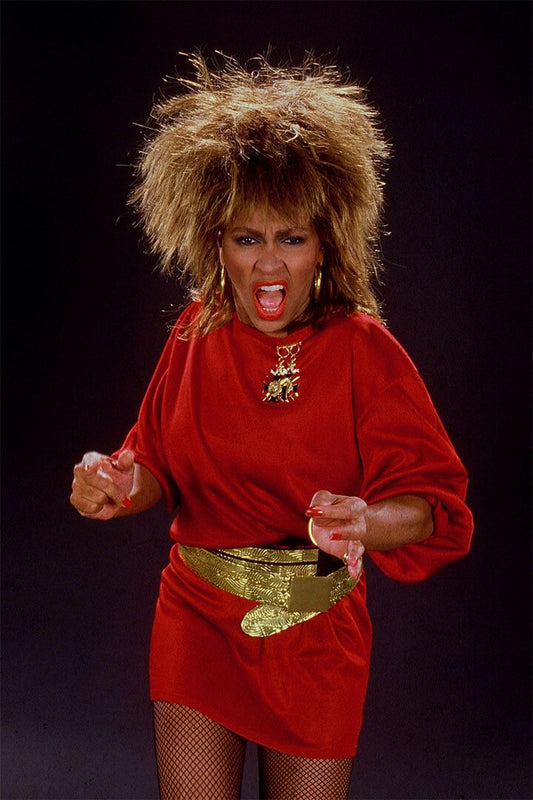 Tina Turner American Artist And Singer Print Wall Home Decor Jigsaw Puzzle