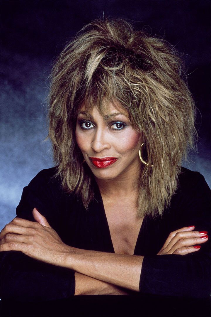 Tina Turner Posing American Musican Singer Jigsaw Puzzle