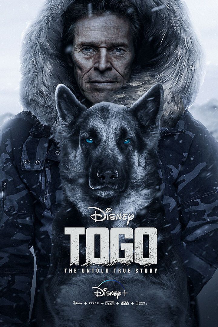 Togo Movie 2019 The True Story Drama Biography Jigsaw Puzzle