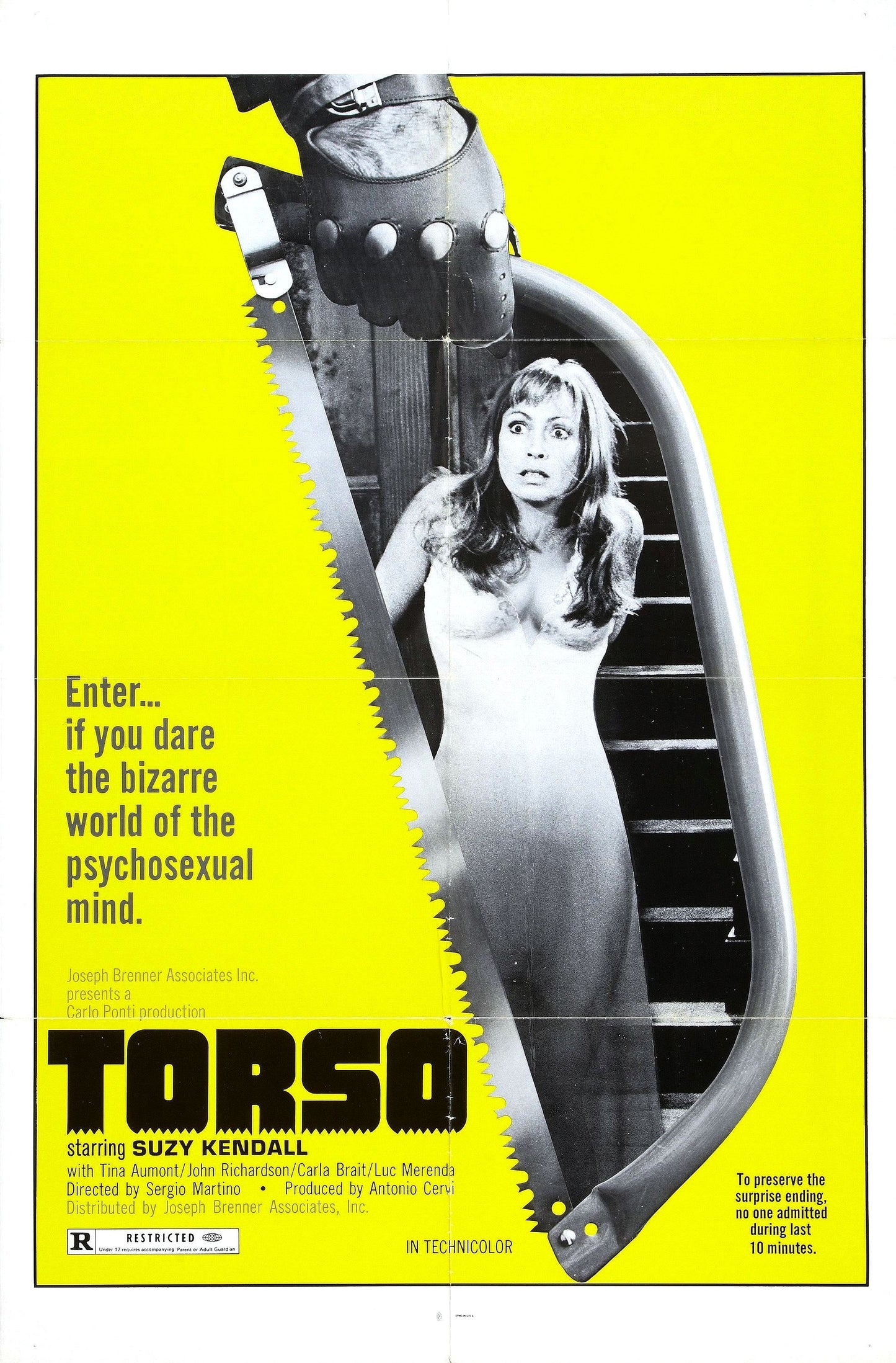 Torso 01 Movie Magnet