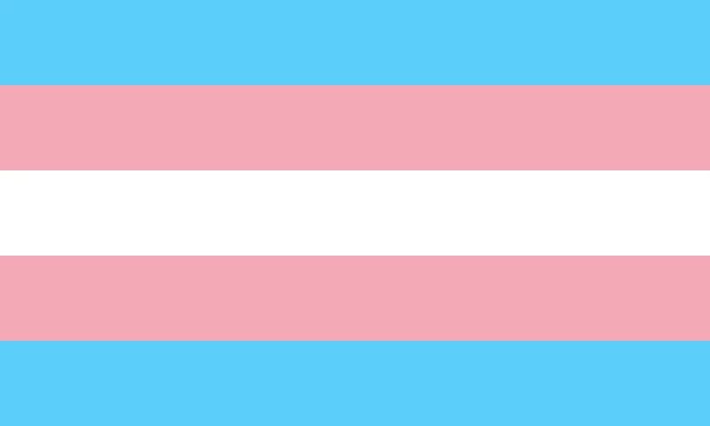 Transgender Flag Magnet Picture Magnet Lgbt Gay Gender Trans