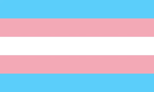 Transgender Flag Magnet Picture Magnet Lgbt Gay Gender Trans