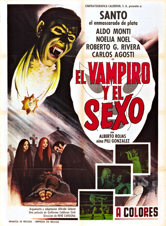 Treasure Of Dracula 01 Movie Magnet