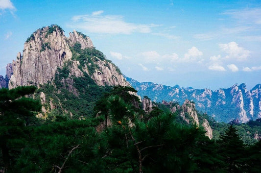 Tree On A Cliff Yellow Mountain China Nature Magnet Picture Magnet