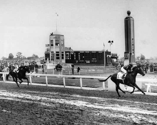 Triple Crown Horse Citation Glossy Photo Print Kentucky Derby Poster