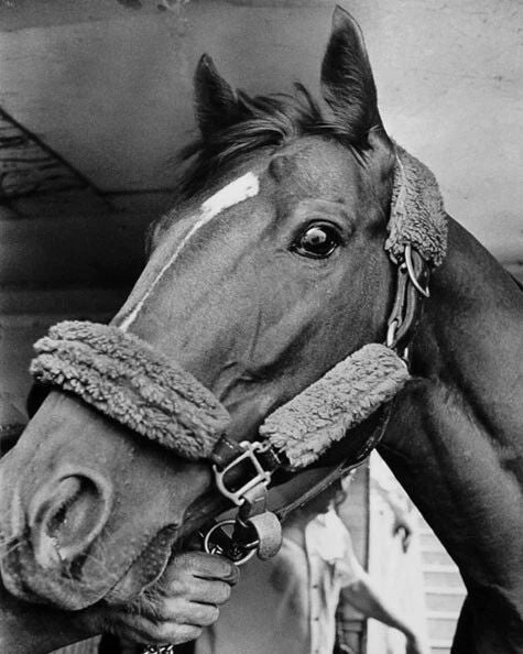 Triple Crown Horse Secretariat Glossy Keychain Print Racehorse Keychain