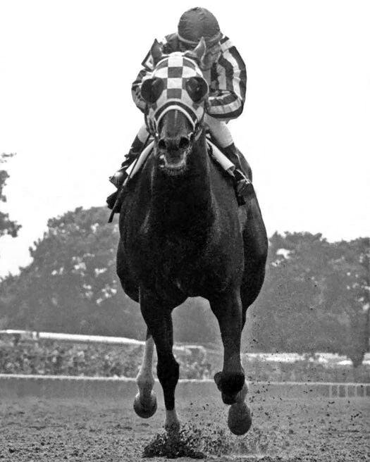 Triple Crown Secretariat Glossy Keychain Ron Turcotte Belmont Stakes Print