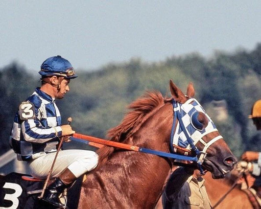 Triple Crown Secretariat Glossy Magnet Ron Turcotte Preakness Stakes Print