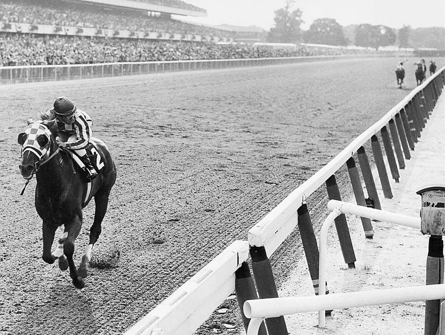 Triple Crown Winner Race Horse Secretariat Publicity Picture Photo Print