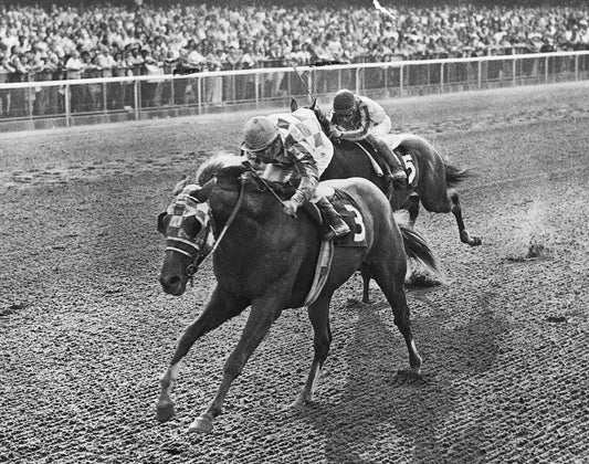 Triple Crown Winner Race Track Horse Secretariat Picture Magnet Print