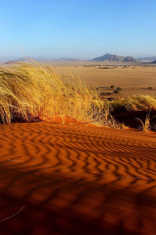 Tumboa Plant In The Namib Desert Painting Jigsaw Puzzle
