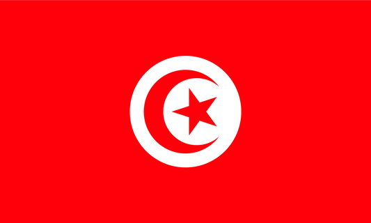 Tunisia Flag Keychain