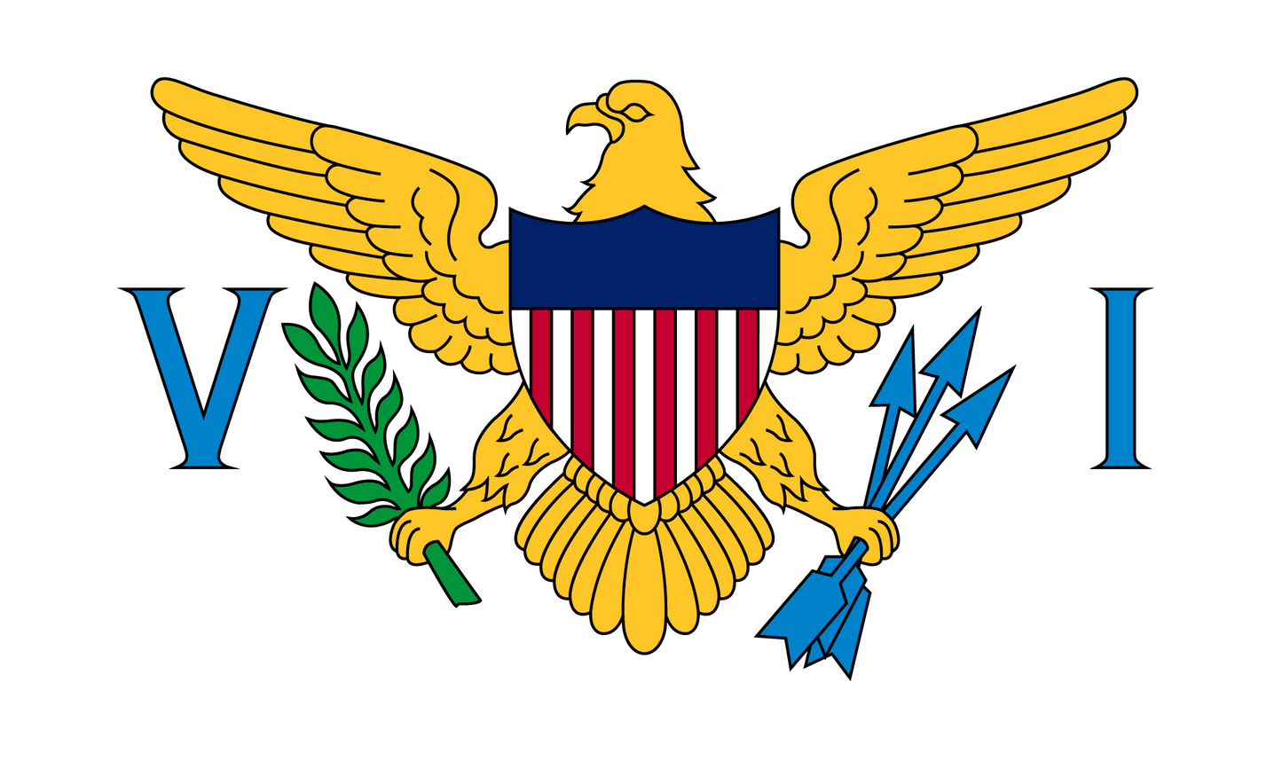 U.S. Virgin Islands Flag Keychain
