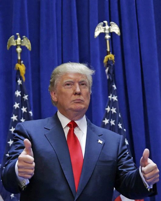 U.S. President Donald Trump Glossy Magnet Repulican Party Magnet