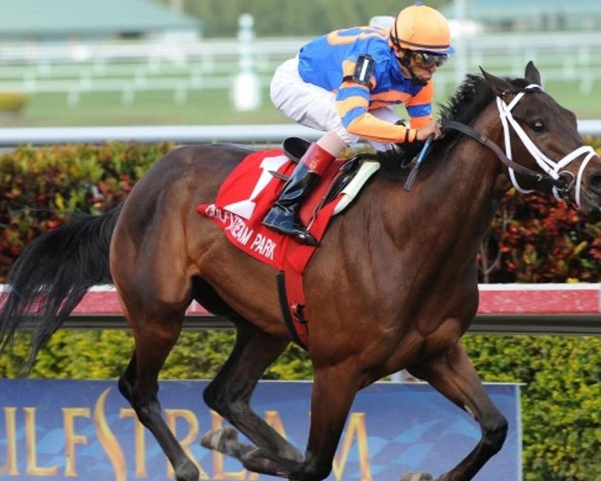 Uncle Mo Photo Horse Racing Picture Jockey