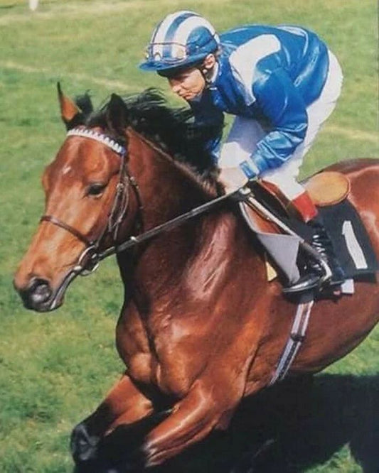 Unfuwain Magnet Horse Racing Picture