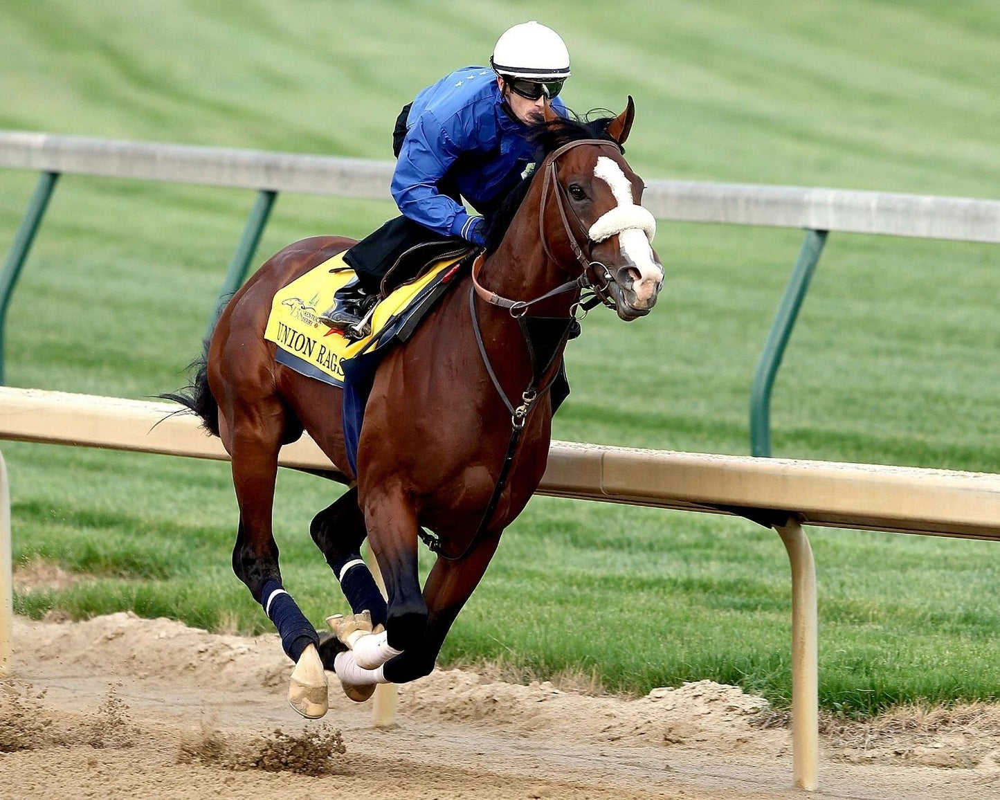 Union Rags Photo Horse Racing Picture Action